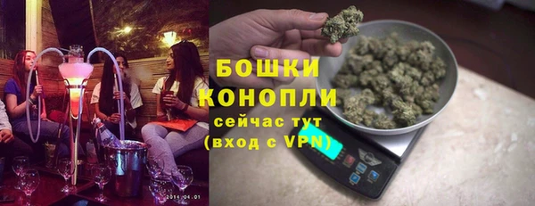 PSILOCYBIN Алзамай